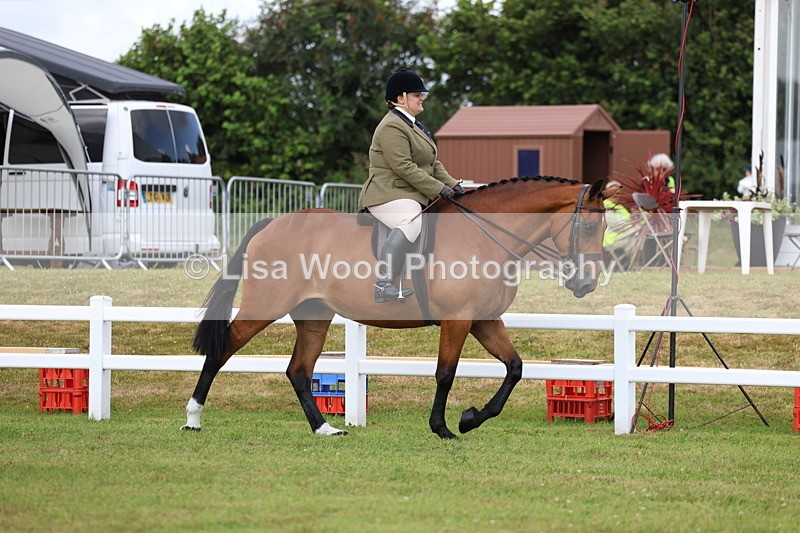 3E7A9263 - Class 4: Rising Star M/H Hunter