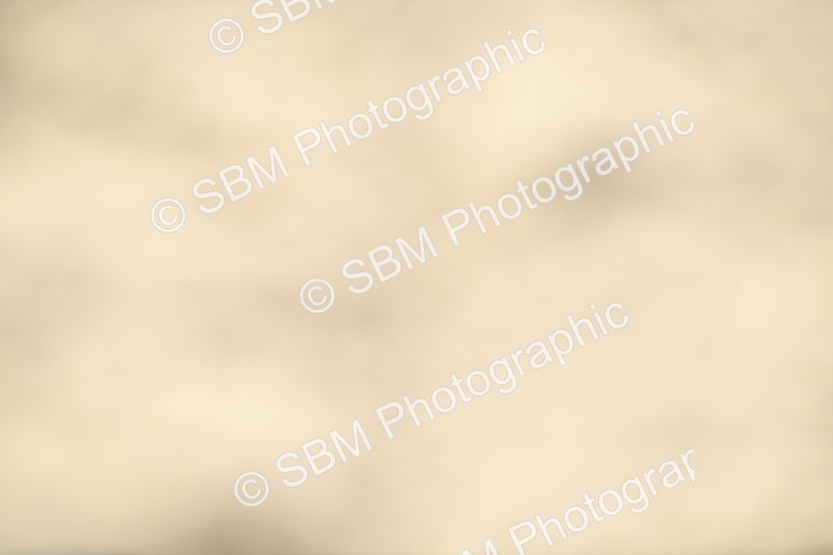 SBM_63360 - Supreme Championship - AM