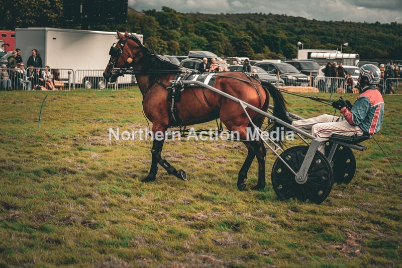 DSCF7458 - Kilnsey Harness racing