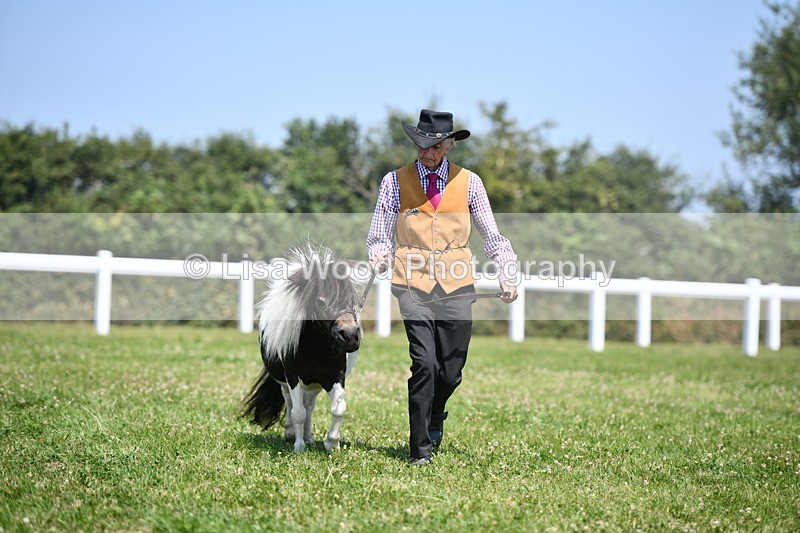 DSC_7664 - Class 64: Coloured Pony 4yrs & over