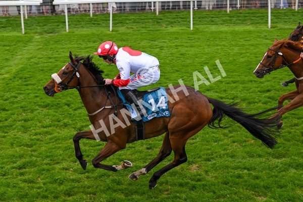 250524-Race 7-Feel The Need-4394 - Race 7 5.05pm Alf Duffield Memorial Handicap