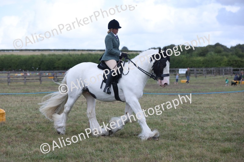 20250831-4218 - Class 20 - Ridden Coloured