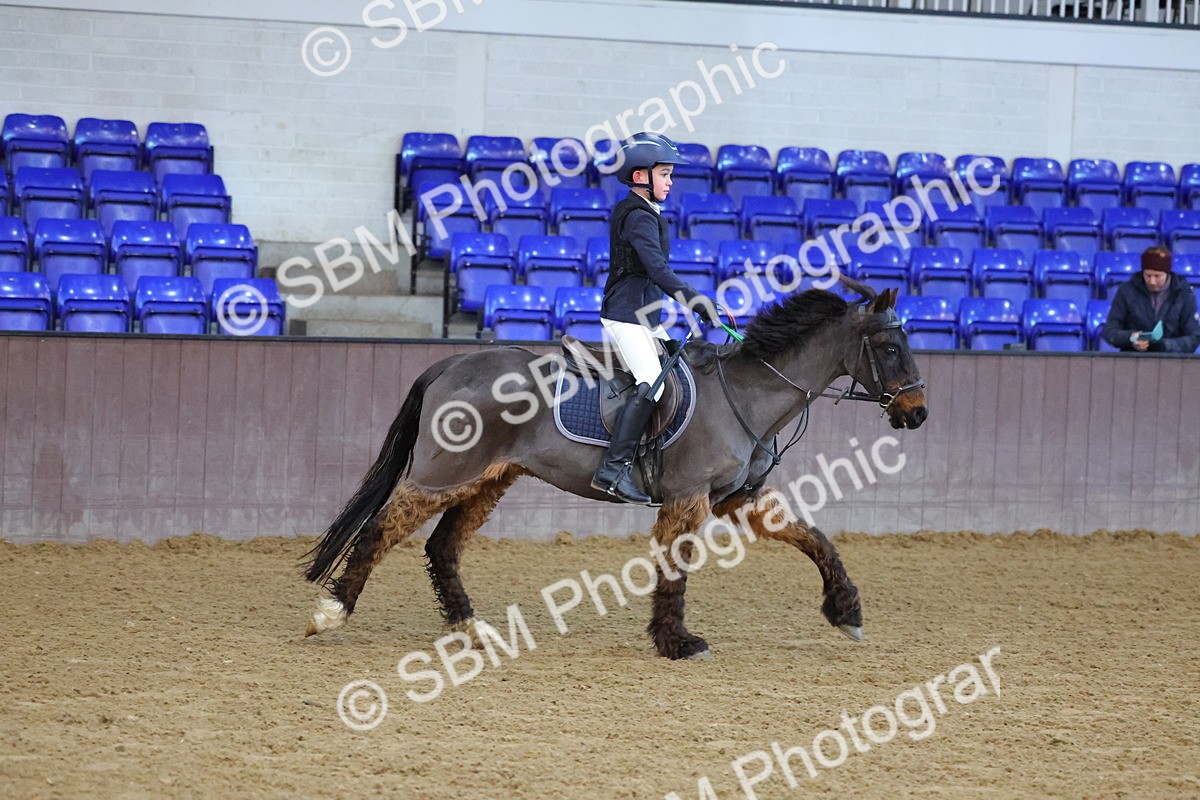 SBM_000013 - Class 1- 40cm