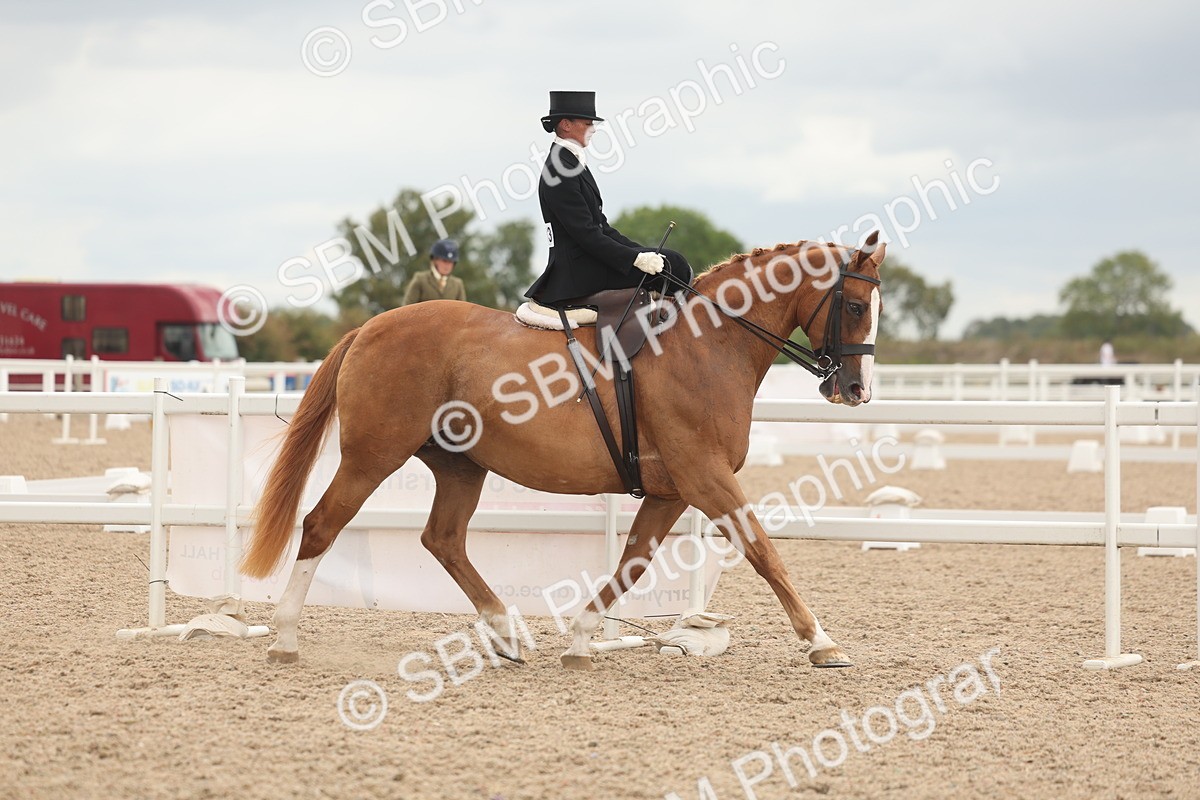 SBM_06404 - Class 23 - SSA - Classical