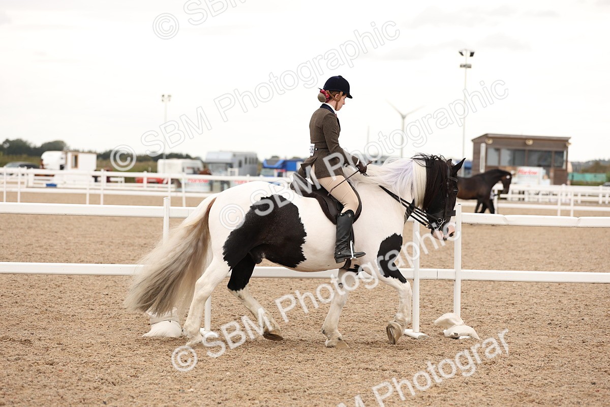 SBM_19634 - Class 216 - Ridden Traditional - Native Cob