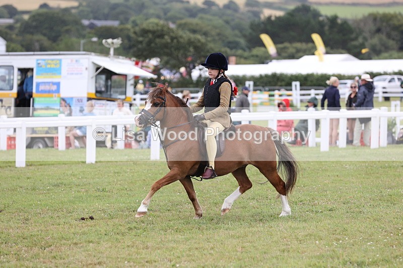 JPP_1745 - Class 18: Tiny Tots Working Hunter Pony
