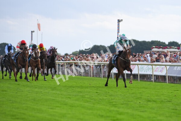 yr04092022r6-38 - Race 6 4.40pm Hanson Springs Stakes