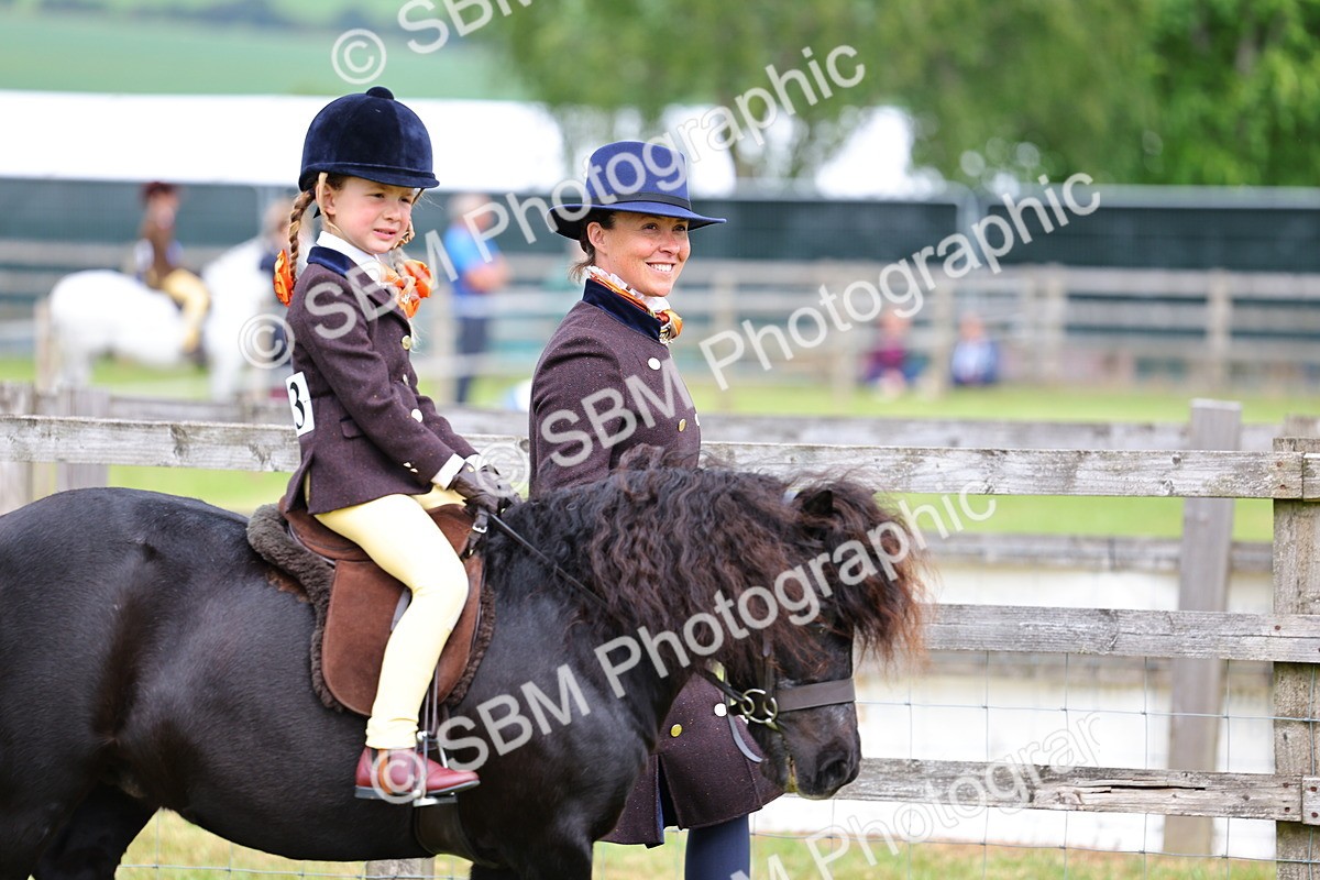SBM_08064 - Class 42-43 - LIHS BSPS Heritage Working Sports Pony