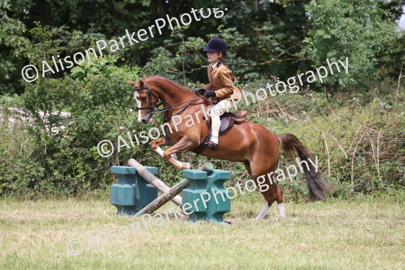20260614-2815 - Class 22 - Open Working Hunter