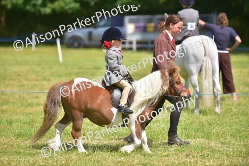 20260614-1172 - Class 11a - Lead Rein Pony (Unplaited)