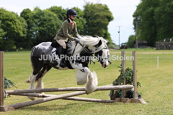 IMG_3144 - Working Hunter