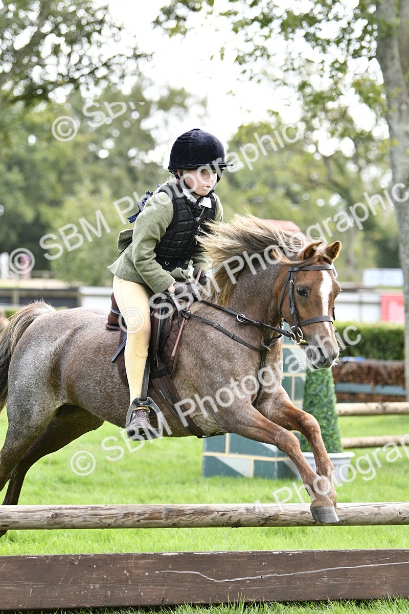 SBM_41259 - S32 - Mountain & Moorland Working Hunter Pony
