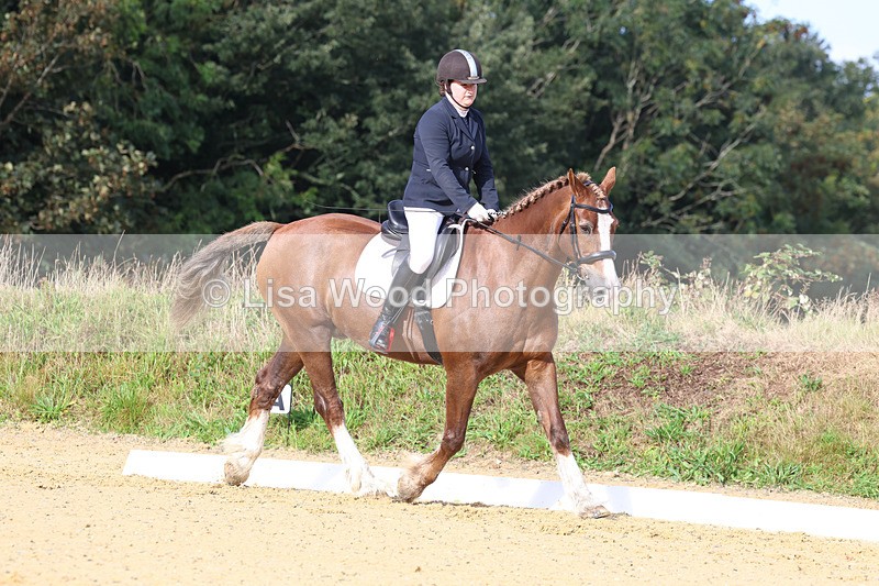 3E7A2231 - Class 1: Intro 4 2024 section A