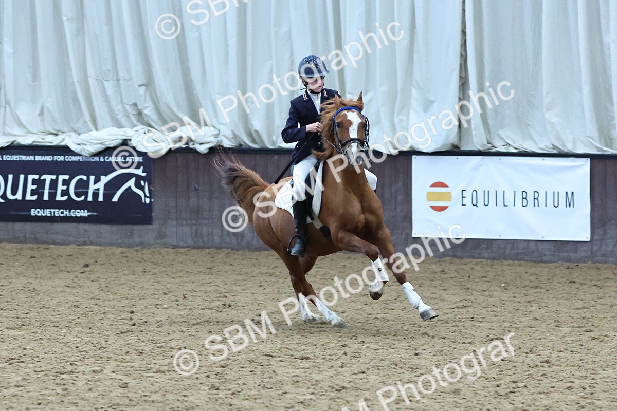 SBM_005610 - Class 7 - 70cm Open