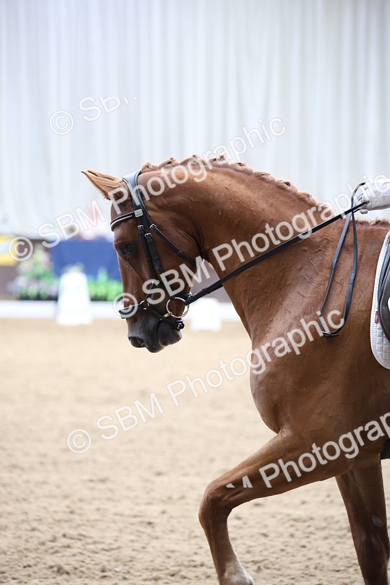 SBM_002839 - Class 5 - Novice 6 Gold - 10.24-11.30