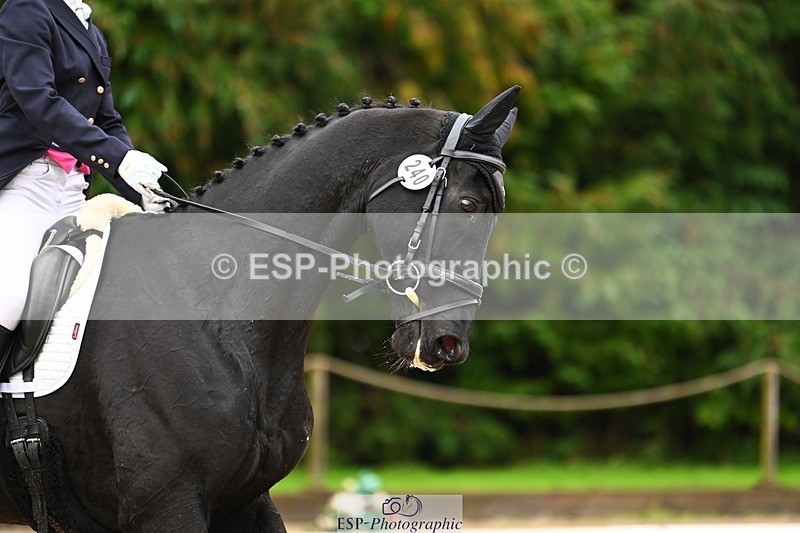 231021-115713-14868 - 240-ZEBEDEE.IX-Ashley.Harrison-DR