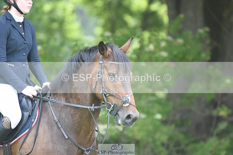 230617-100010-01742 - Cls 15 British Novice & 80cm Open