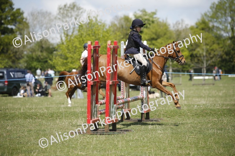 20250427-3494 - Class 14 - Absolute Novice 70cm