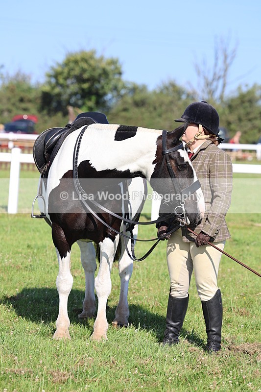IMG_1566 - Class 30: Ridden Native/Trad Coloured Pony