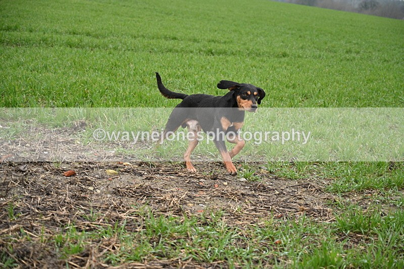 WJ7_9716 - Walk out..