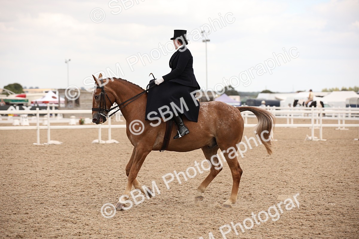 SBM_05381 - Class 22 SSA Equitation