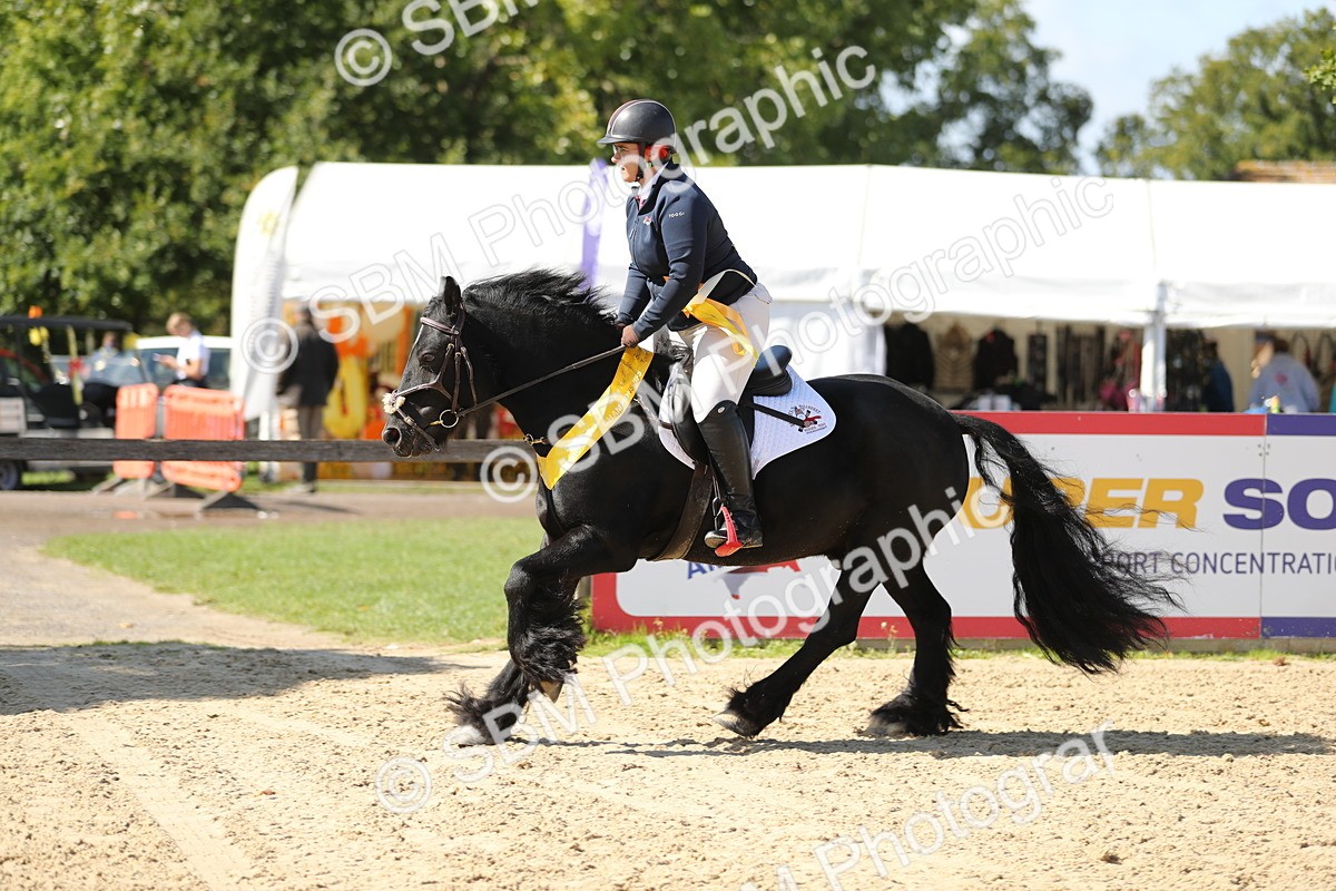 SBM_04833 - J28 - Senior Horse & Pony 60cm Championships