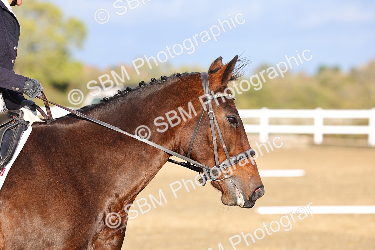 SBM_002820 - Class 12 - PYO