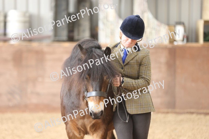 20251109-0637 - Class 22 - Geldings 4 Years and over