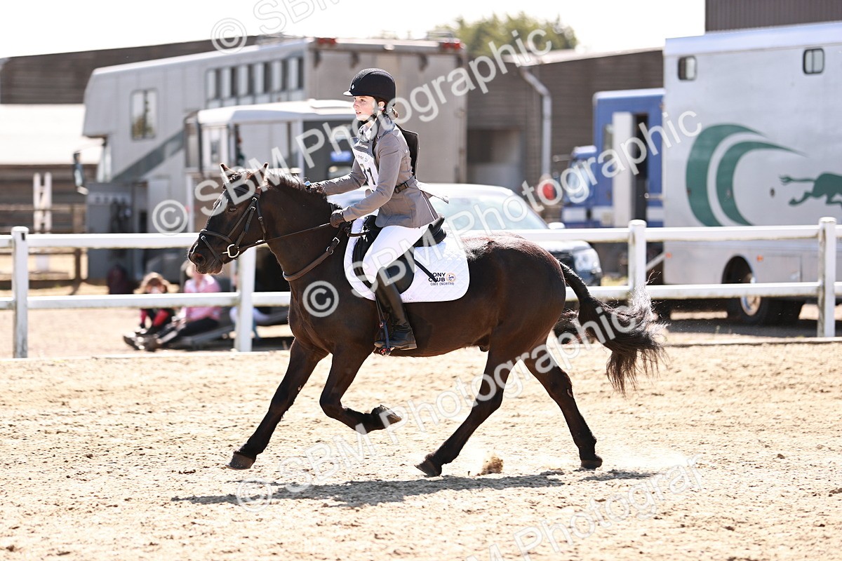 SBM_006983 - Class 2 - 50cm