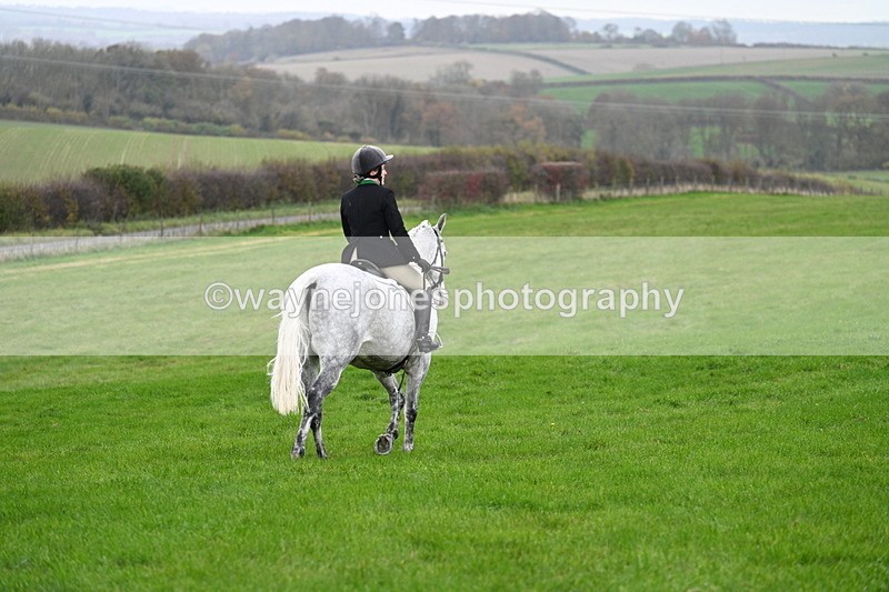 WJ7_8767 - Meet Staff & Hounds