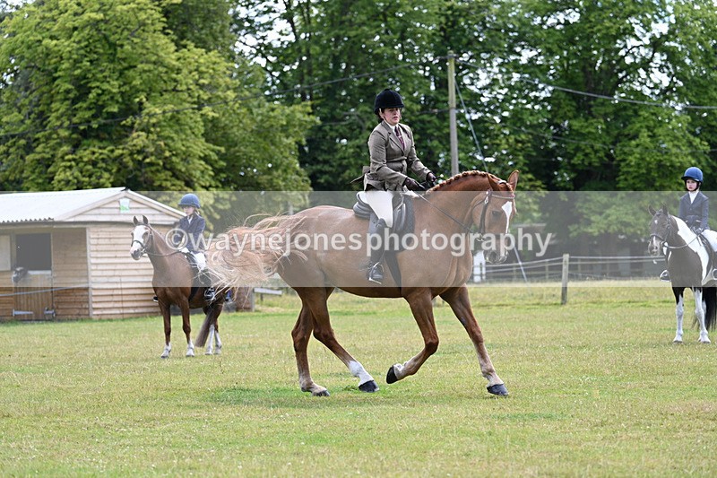 WJ7_9334 - Class 8 Ridden Veterans