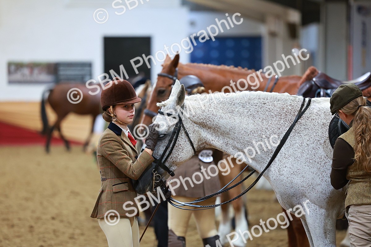 SBM_09530 - Class 102 - HOYS Veteran Qualifier - Ridden Veteran