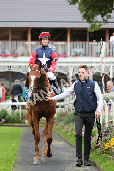 yr04092022r5-43 - Race 5 4.05pm Little Green Rascals Children's Nurseries Stakes