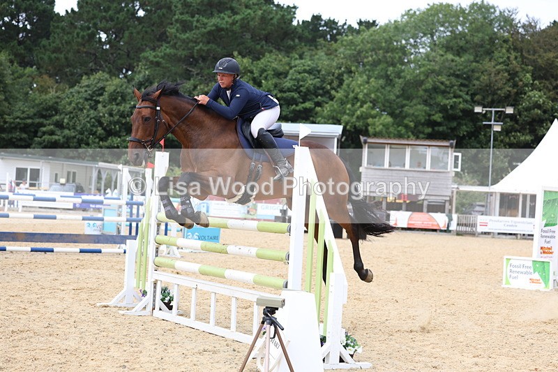 3E7A6554 - Class 9: Senior Foxhunter/1.20 open