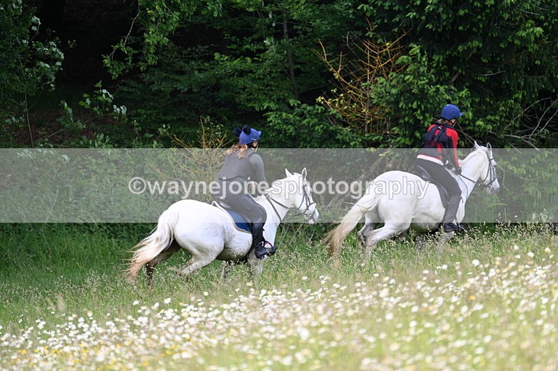 WJ7_8567 - Group 1 10am
