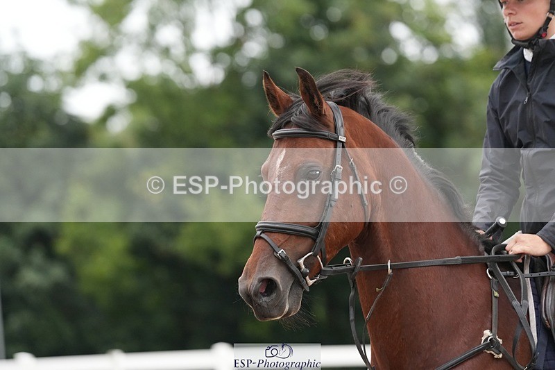 250731-104723-01444 - Cls 08  85cm Nat Am Qual