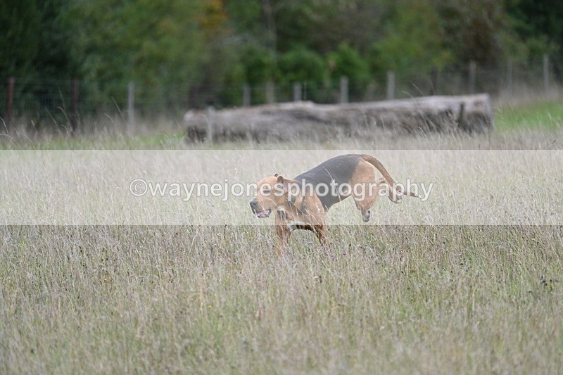 WJ7_3607 - Camera 1 Line 1