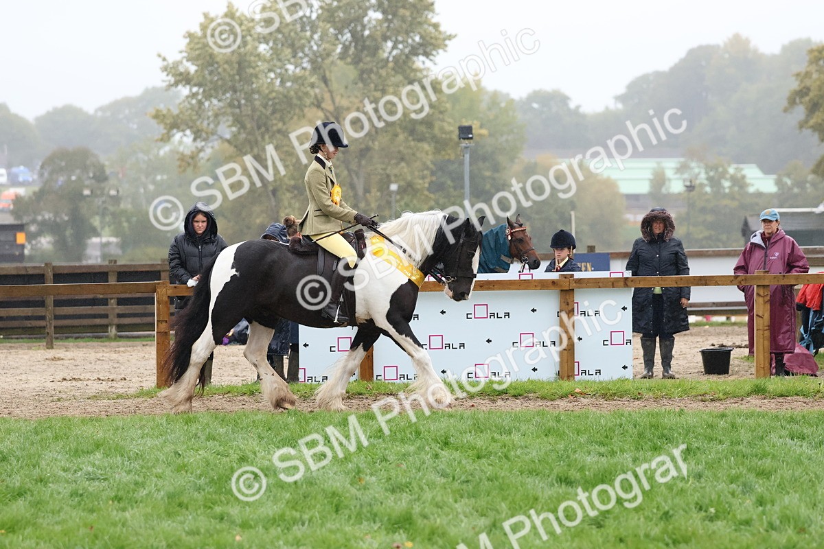 SBM_73118 - Ridden Pony Supreme Championship