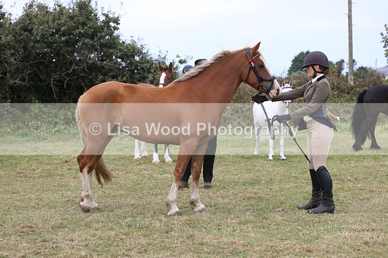 3E7A4677 - Class 16: Best Grass Kept