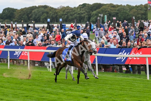 210825-Race 1-Royal Fixation-3596 - Race 1 1.50pm Sky Bet Lowther Stakes