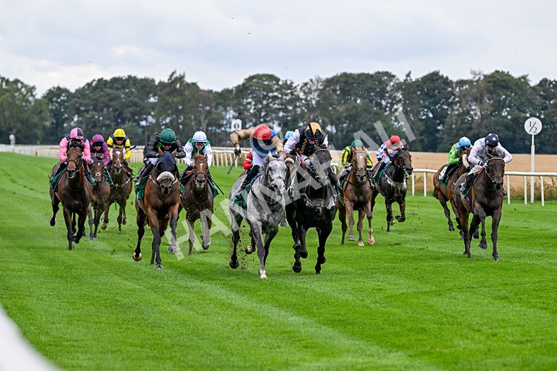 280826-Race 4-Deep Havana-4485 - Race 4 4pm Ivegate Building Handicap