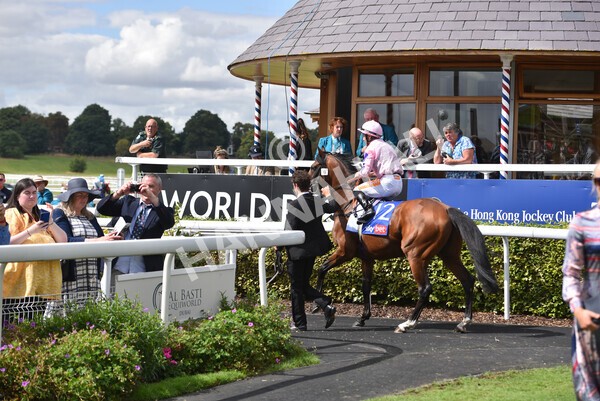 yr19082022r1-17 - Race 1 1.50pm Sky Bet Stakes