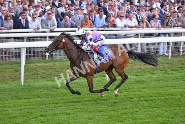 yr20082022r3-24 - Race 3 3.00pm Sky Bet City of York Stakes