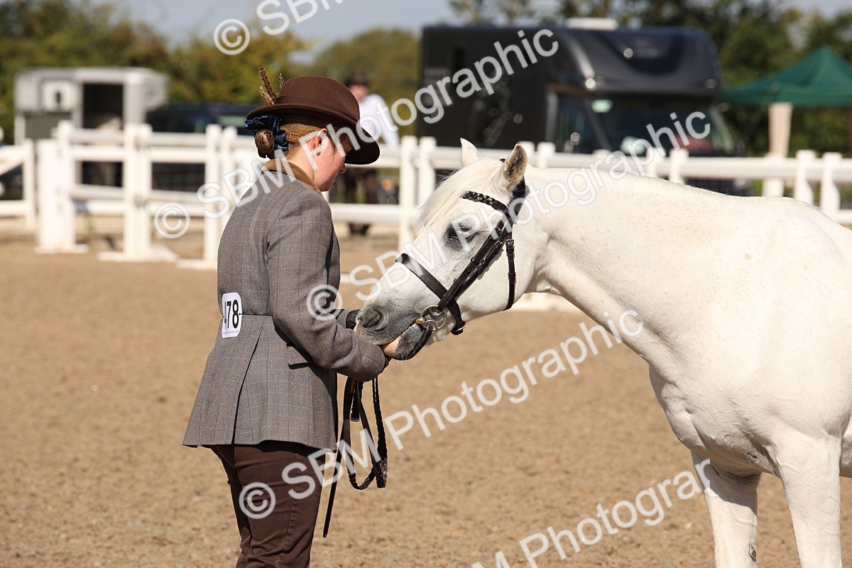 SBM_02783 - Class 16 IH M&M Wildcard