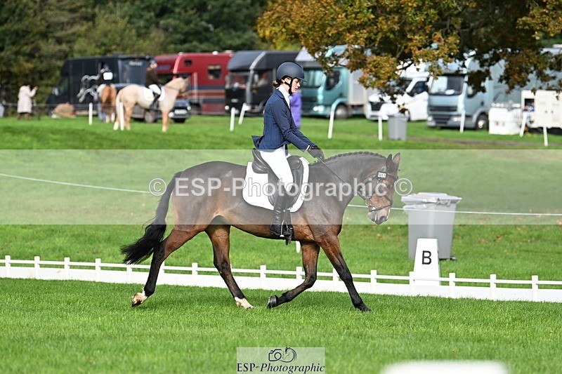 251023A-105817-02648 - G-511-Clara.Tuke