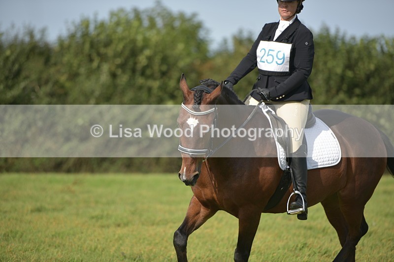 RAY_7722 - Class 2B: Trekenning Open: Dressage