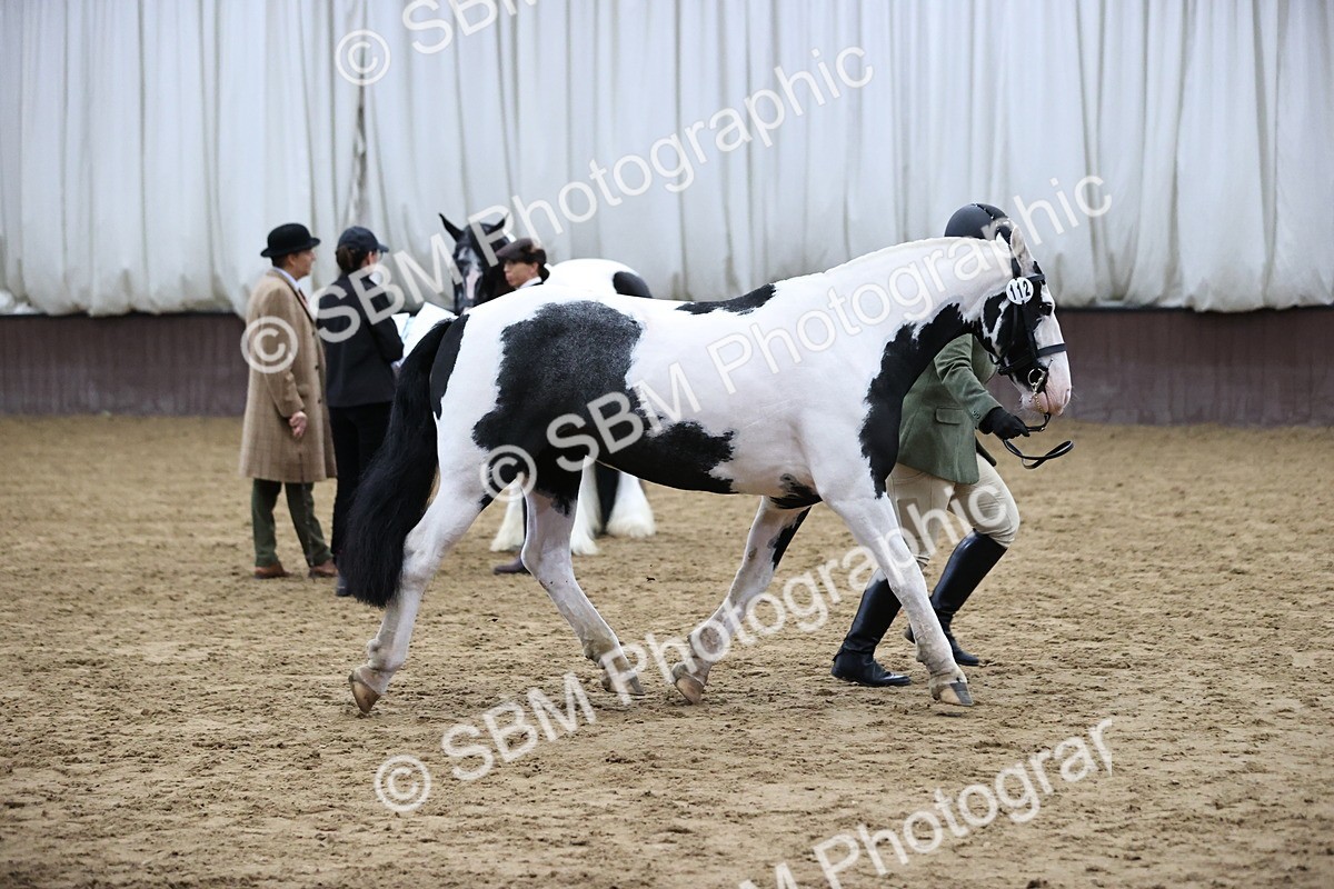 SBM_5656 - Class 40 - RESS In Hand Qualifier