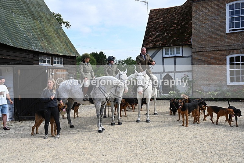 WJ6_3892 - Berks & Bucks - The Old farmhouse - Hound Exercise 20-08-25