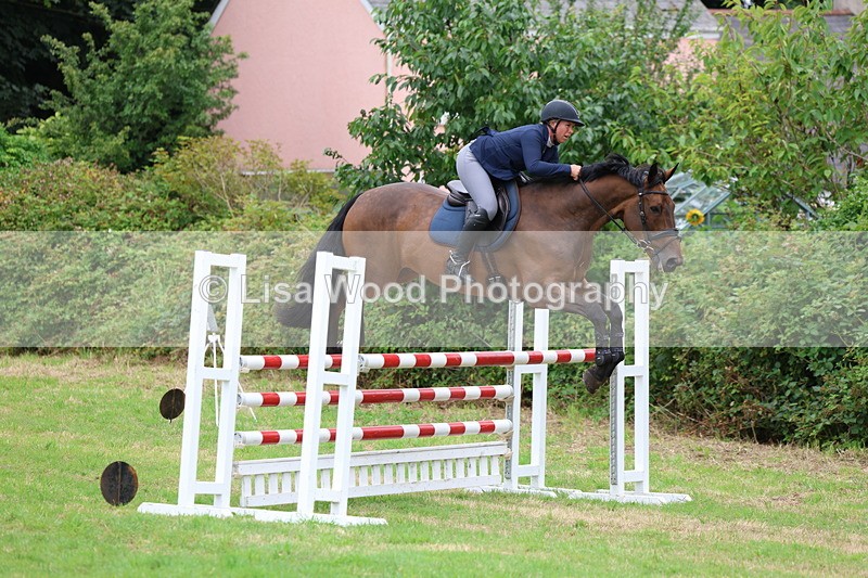 3E7A8444 - Class 8: Senior Foxhunter/1.20m open