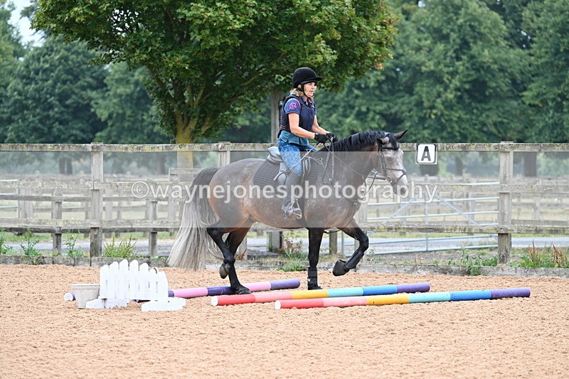 WJ7_7594 - Poles 10:00am